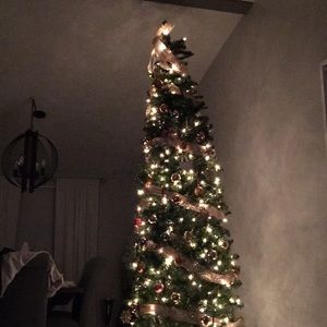 Meet your Posher, Shannon